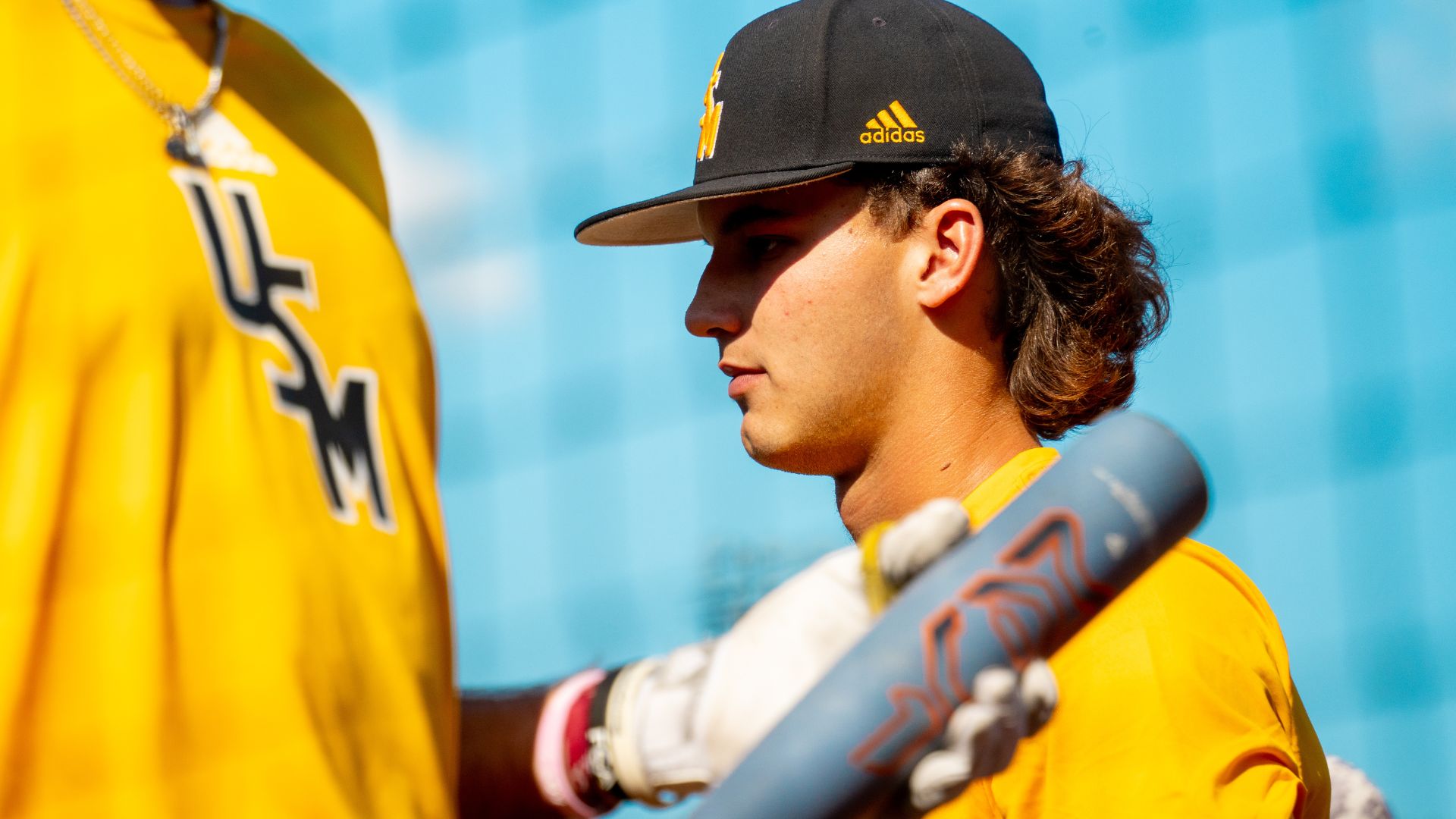 Baseball pitcher