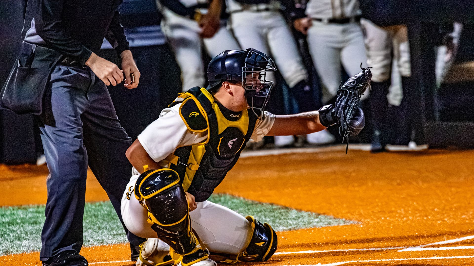 Baseball catcher